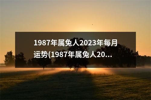 1987年属兔人2023年每月运势(1987年属兔人2023年每月运势及运程易经)