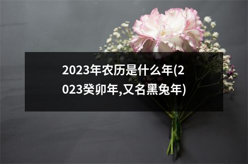 2023年农历是什么年(2023癸卯年,又名黑兔年)