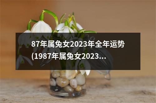 87年属兔女2023年全年运势(1987年属兔女2023年的运势和婚姻)
