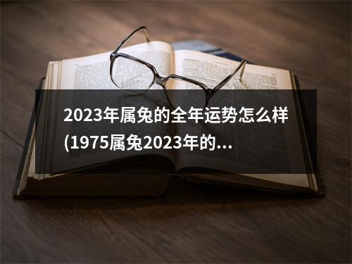 2023年属兔的全年运势怎么样(1975属兔2023年的运势及运程)