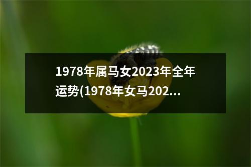 1978年属马女2023年全年运势(1978年女马2023年每月运程)