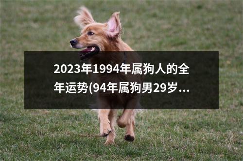 2023年1994年属狗人的全年运势(94年属狗男29岁2023姻缘)